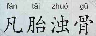 凡胎浊骨的拼音