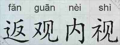返观内视的拼音