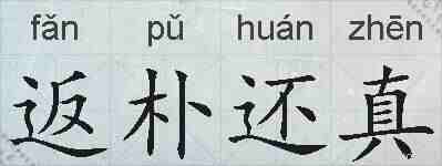 返朴还真的拼音