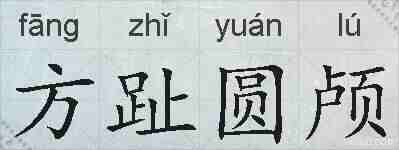 方趾圆颅的拼音
