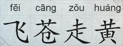 飞苍走黄的拼音