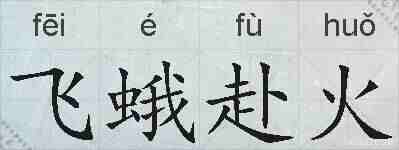 飞蛾赴火的拼音