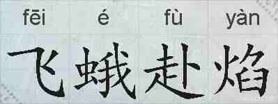 飞蛾赴焰的拼音