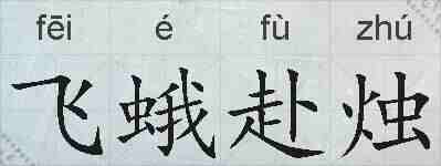 飞蛾赴烛的拼音