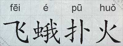 飞蛾扑火的拼音