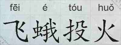 飞蛾投火的拼音