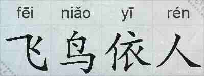 飞鸟依人的拼音