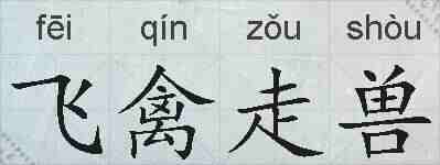 飞禽走兽的拼音