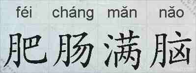 肥肠满脑的拼音