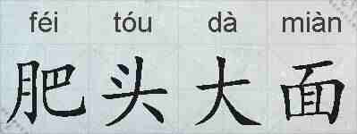 肥头大面的拼音