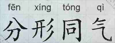 分形同气的拼音