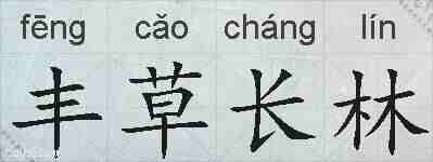 丰草长林的拼音