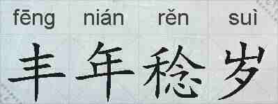 丰年稔岁的拼音