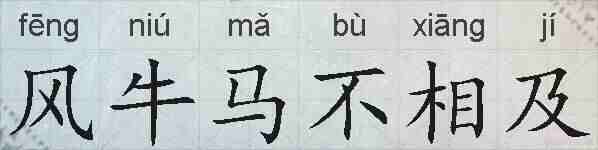 风牛马不相及的拼音