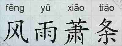风雨萧条的拼音