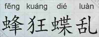 蜂狂蝶乱的拼音