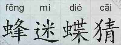 蜂迷蝶猜的拼音