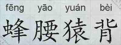 蜂腰猿背的拼音