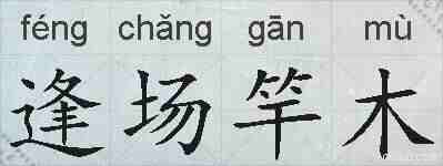 逢场竿木的拼音