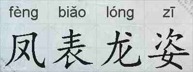 凤表龙姿的拼音