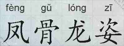 凤骨龙姿的拼音