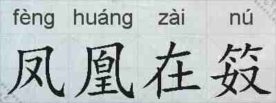 凤凰在笯的拼音
