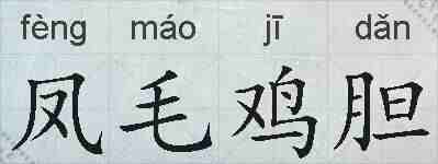 凤毛鸡胆的拼音