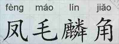 凤毛麟角的拼音