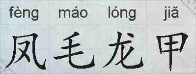 凤毛龙甲的拼音
