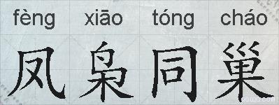 凤枭同巢的拼音