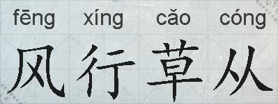 风行草从的拼音
