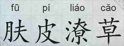 肤皮潦草的拼音
