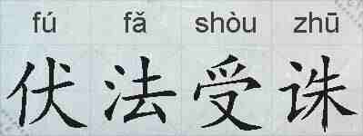 伏法受诛的拼音