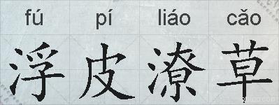 浮皮潦草的拼音