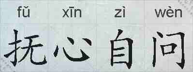 抚心自问的拼音
