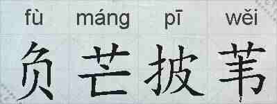 负芒披苇的拼音