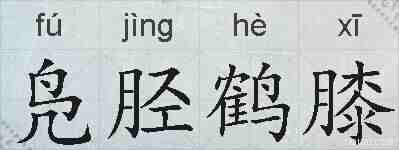 凫胫鹤膝的拼音