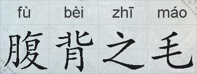 腹背之毛的拼音