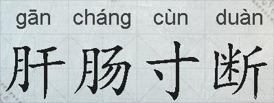肝肠寸断的拼音