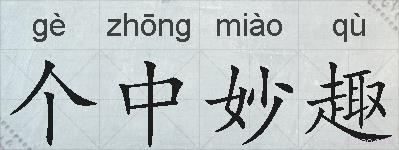 个中妙趣的拼音