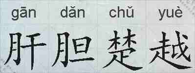 肝胆楚越的拼音