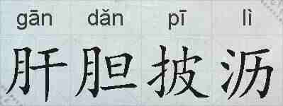 肝胆披沥的拼音