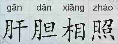 肝胆相照的拼音