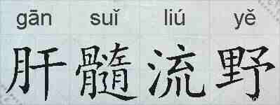 肝髓流野的拼音