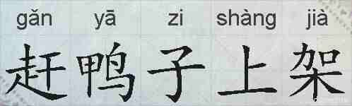 赶鸭子上架的拼音