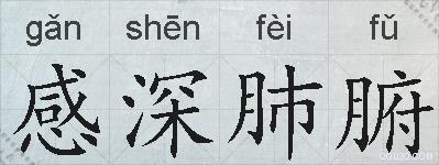 感深肺腑的拼音