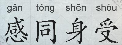感同身受的拼音