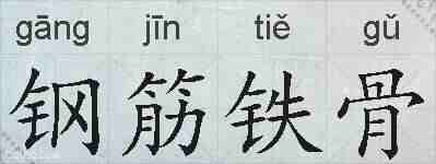 钢筋铁骨的拼音