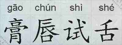 膏唇试舌的拼音