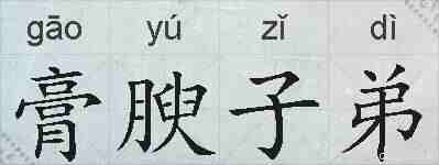 膏腴子弟的拼音